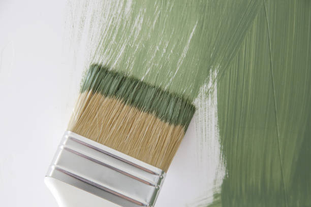  Springfield, OH Mold Removal Pros