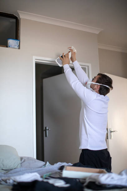 Best Real Estate Mold Inspection  in Springfield, OH