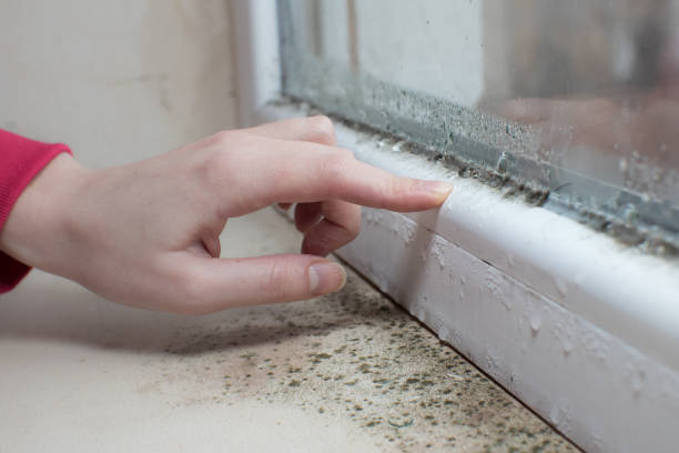 Best Comprehensive Air Testing for Mold Contaminants  in Springfield, OH