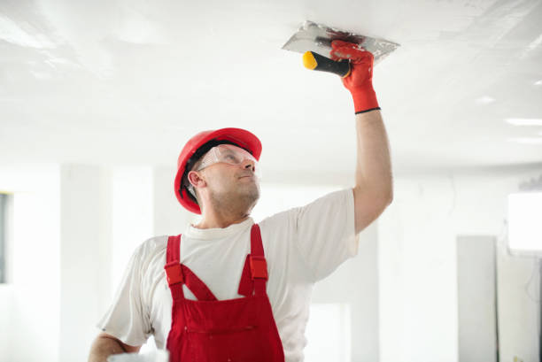 Best Water Damage & Mold Remediation  in Springfield, OH