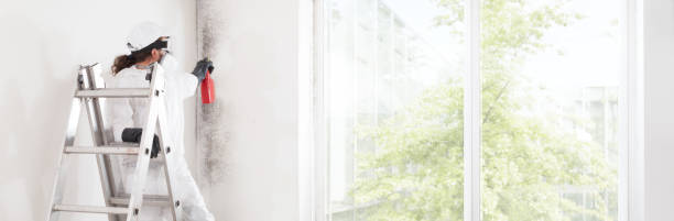 Best Mold Documentation for Insurance Claims  in Springfield, OH