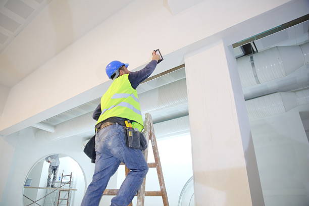 Best Mold Damage Restoration  in Springfield, OH