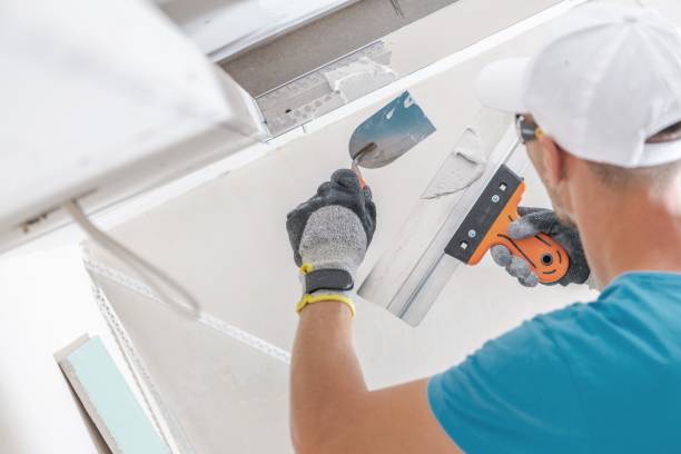Best Airborne Mold Testing  in Springfield, OH